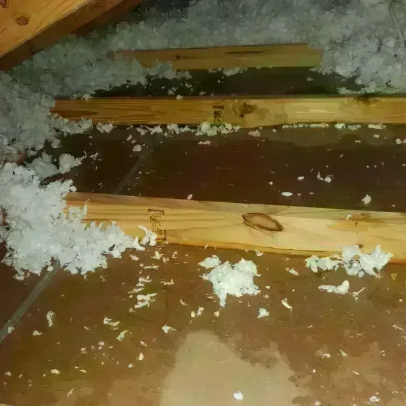 Attic Water Damage in Boulder Creek, CA